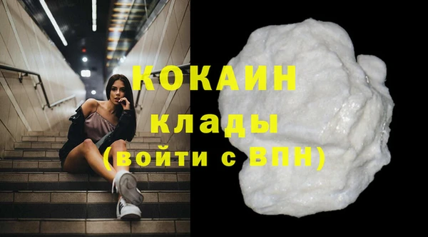 прущие грибы Аркадак