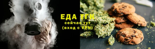 прущие грибы Аркадак