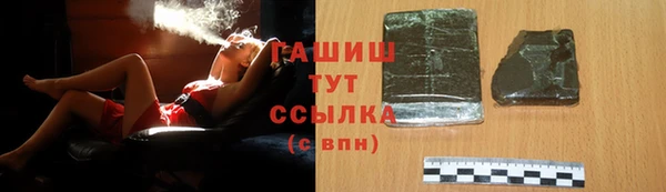 прущие грибы Аркадак