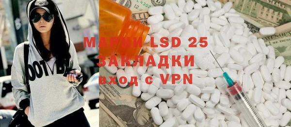прущие грибы Аркадак